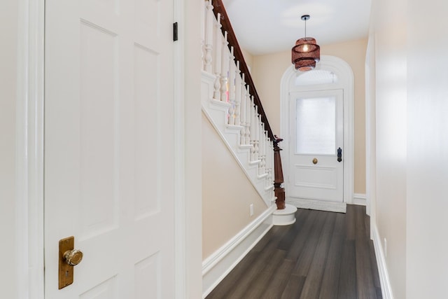 entrance foyer featuring dark wood-type flooring