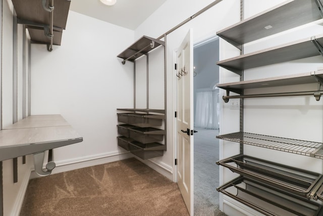 spacious closet featuring carpet