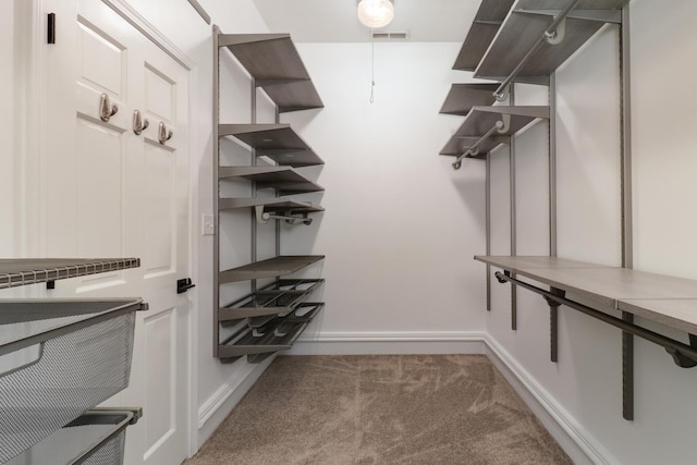 spacious closet with carpet