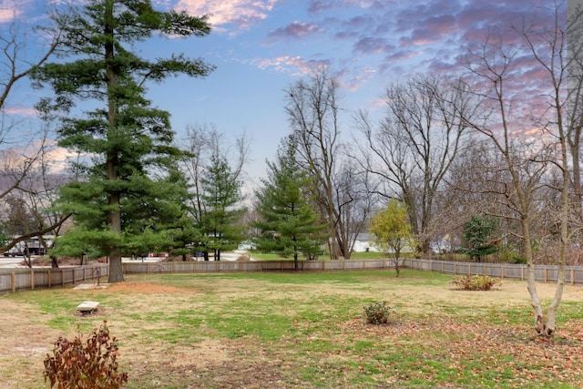 view of yard at dusk