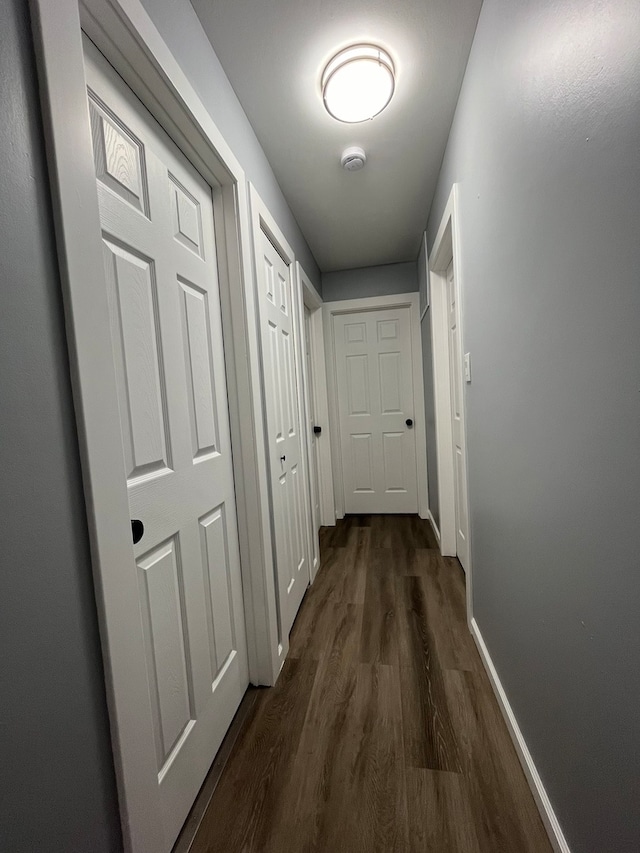 corridor with dark hardwood / wood-style flooring