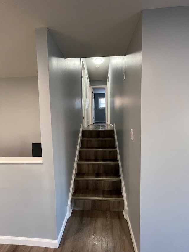 stairs with wood-type flooring