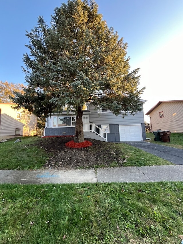 view of property hidden behind natural elements featuring a front yard and a garage