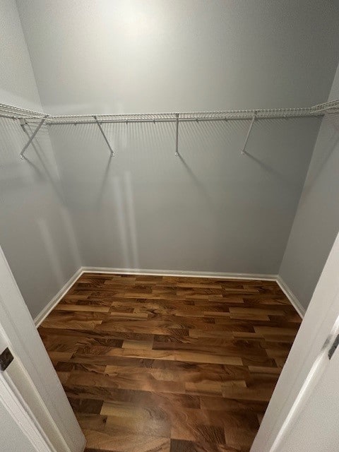 walk in closet with dark hardwood / wood-style flooring