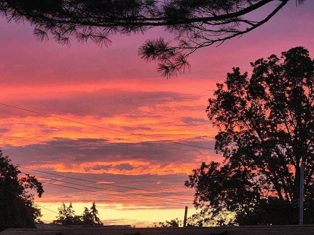 view of nature at dusk