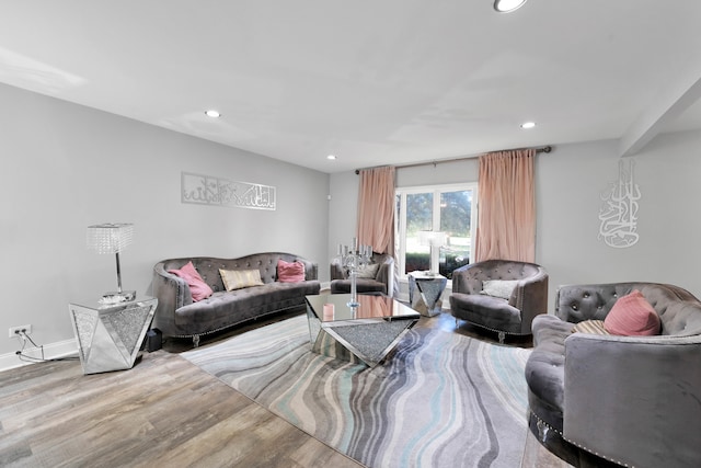 living room featuring wood-type flooring