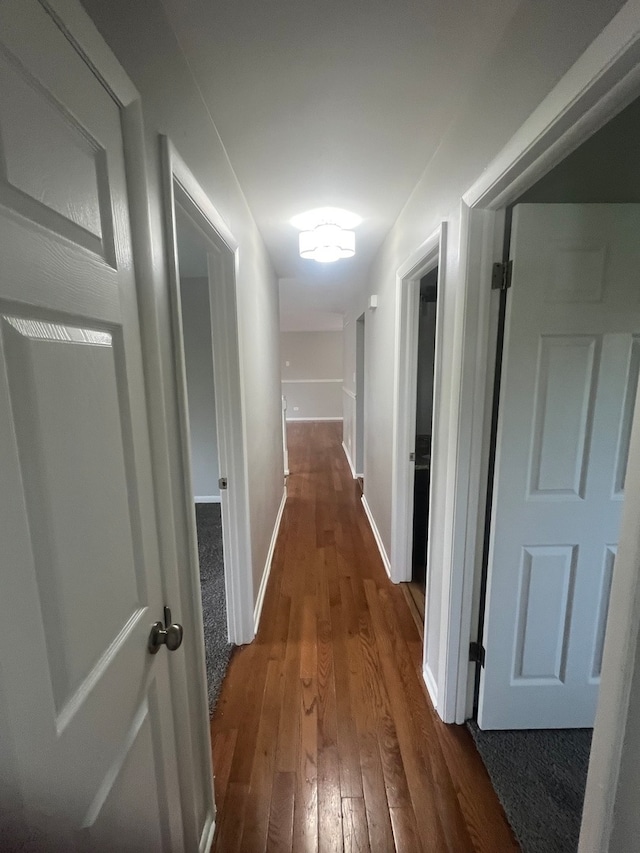 corridor featuring dark hardwood / wood-style floors