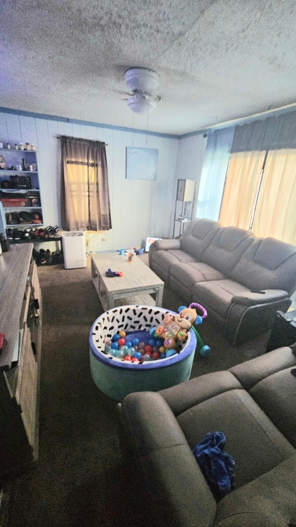 living room with carpet, ceiling fan, and a textured ceiling