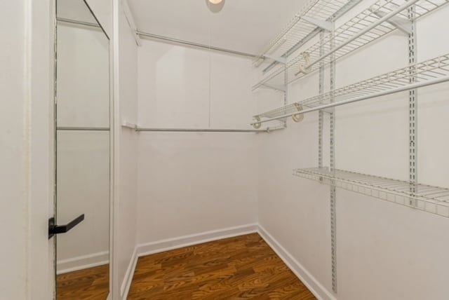 spacious closet with hardwood / wood-style floors