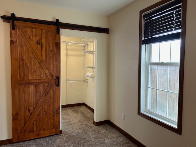 interior space with a spacious closet, a closet, a barn door, and carpet flooring