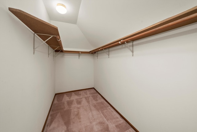 walk in closet with lofted ceiling and light carpet