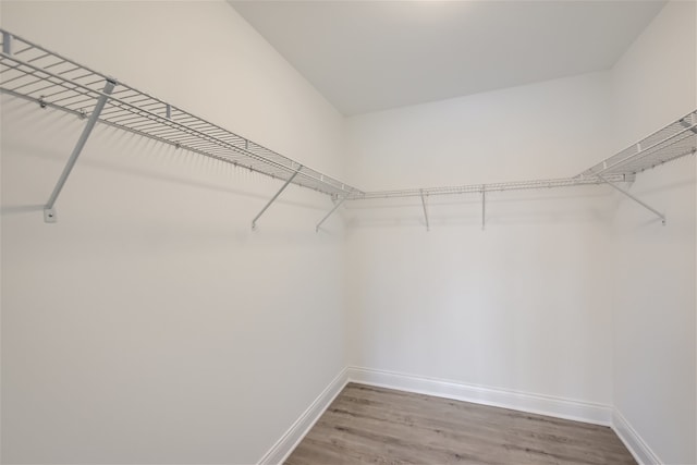 spacious closet featuring hardwood / wood-style flooring