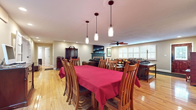 dining area featuring light hardwood / wood-style flooring and ceiling fan