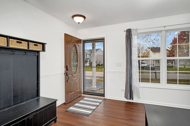 mudroom with dark wood-type flooring and plenty of natural light