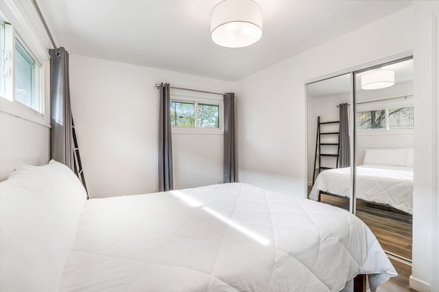 bedroom featuring a closet and wood-type flooring