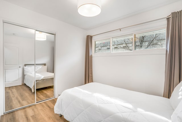 bedroom featuring wood-type flooring and a closet