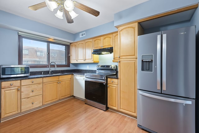 kitchen with light wood-type flooring, sink, ceiling fan, and stainless steel appliances