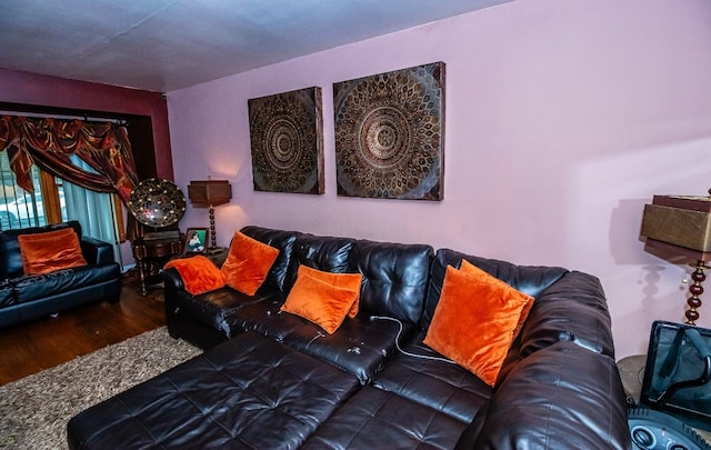 living room with wood-type flooring