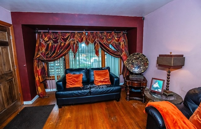 living room with wood-type flooring