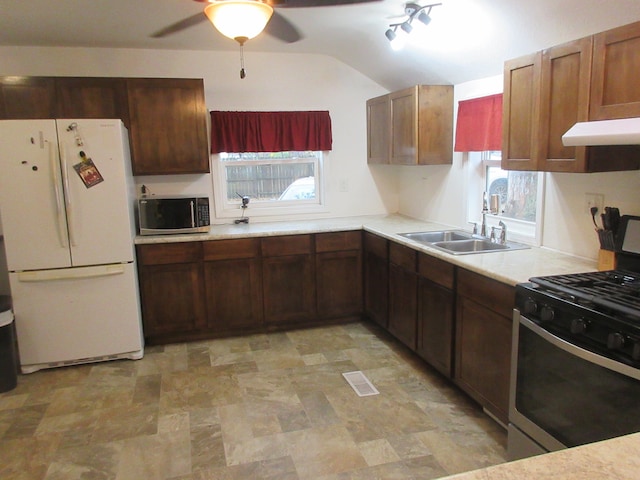 kitchen with appliances with stainless steel finishes, lofted ceiling, sink, and plenty of natural light