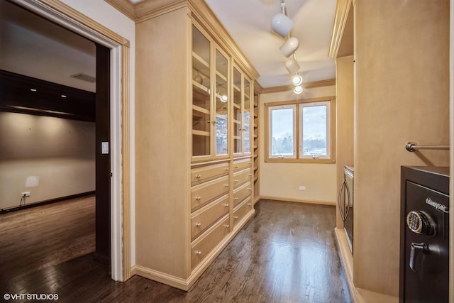 walk in closet featuring dark hardwood / wood-style flooring