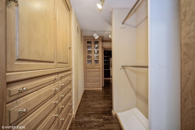 walk in closet with dark hardwood / wood-style floors