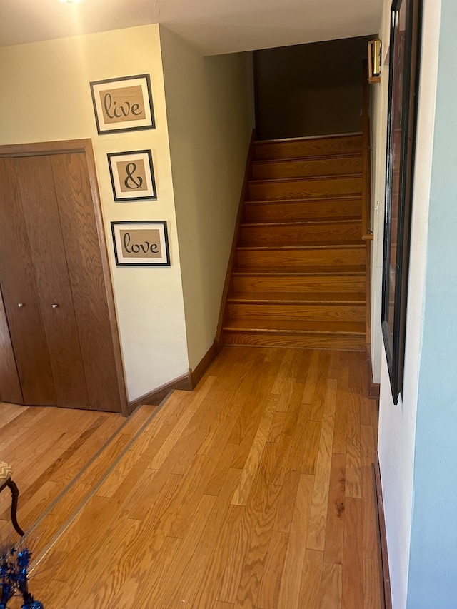 stairway with hardwood / wood-style floors