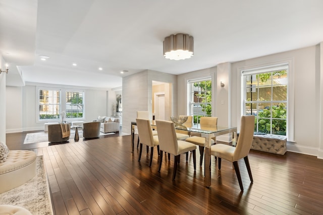 dining space featuring dark wood-type flooring and plenty of natural light