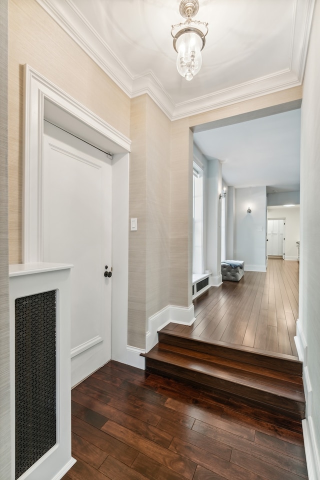 foyer featuring ornamental molding, a notable chandelier, and dark hardwood / wood-style floors