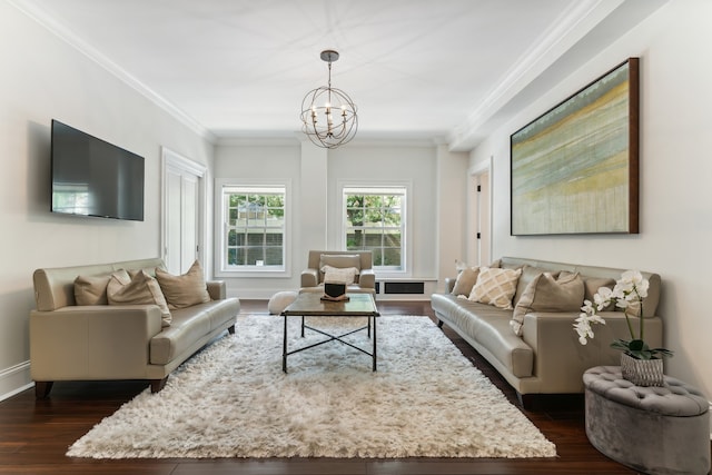 living room with a notable chandelier, dark wood-type flooring, and crown molding