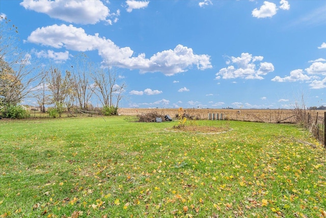 view of yard with a rural view