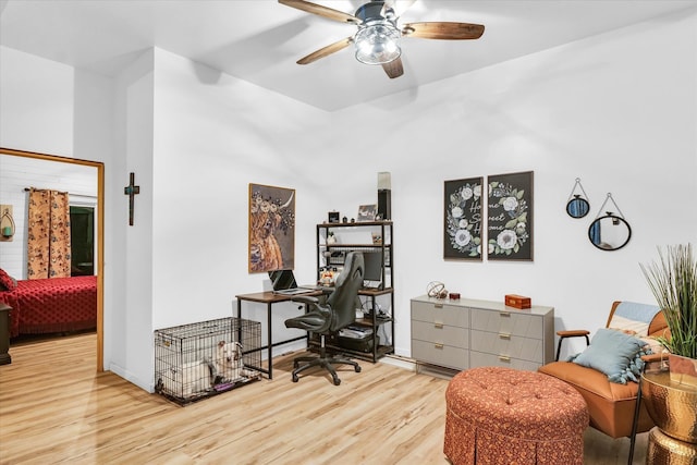 office area featuring ceiling fan and light hardwood / wood-style flooring