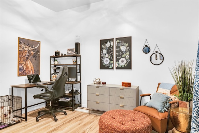 office space featuring light wood-type flooring