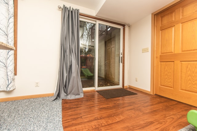 entryway featuring wood-type flooring