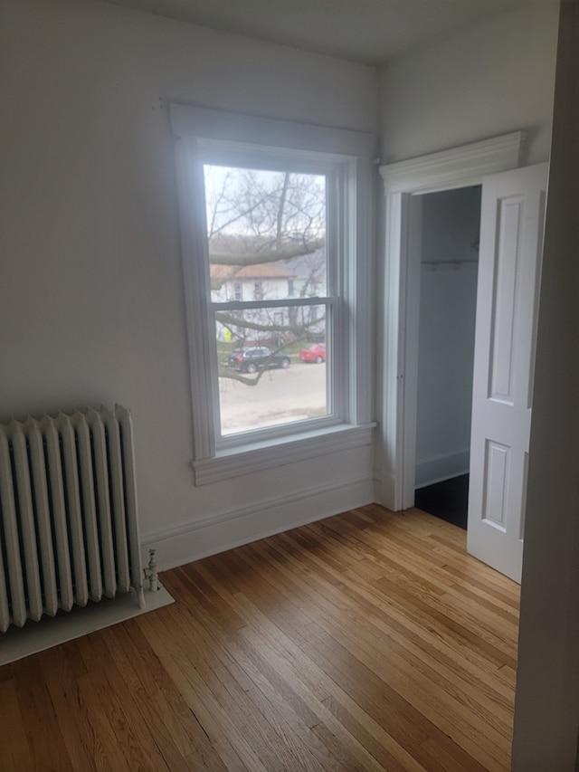 interior space featuring a closet, light hardwood / wood-style floors, multiple windows, and radiator