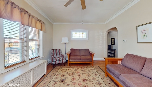 living room featuring radiator, ceiling fan, light hardwood / wood-style flooring, and crown molding