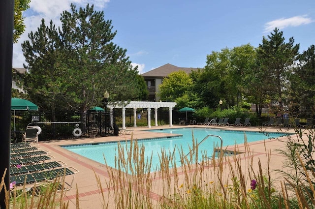 view of pool featuring a pergola and a patio area