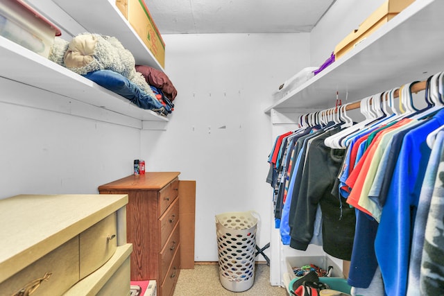 walk in closet with light colored carpet