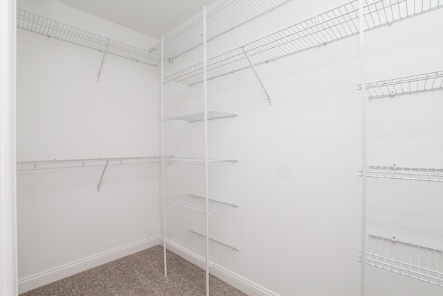 spacious closet featuring carpet flooring