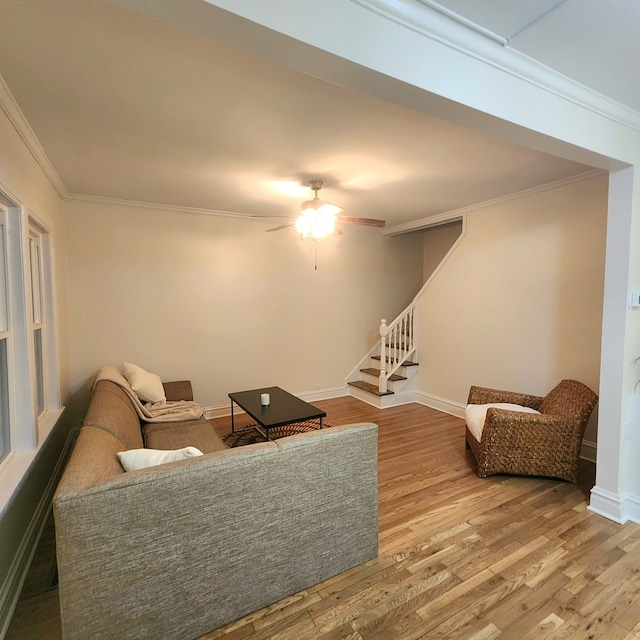 living room featuring ceiling fan, wood-type flooring, and crown molding