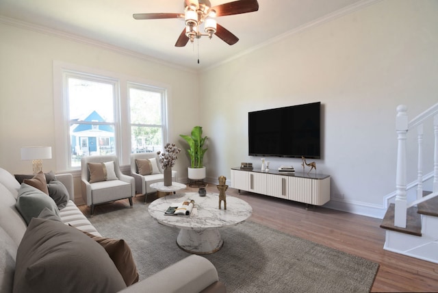 living room with hardwood / wood-style floors, ceiling fan, and ornamental molding