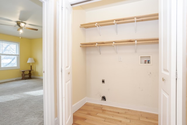 clothes washing area featuring hookup for an electric dryer, washer hookup, ceiling fan, and light hardwood / wood-style flooring