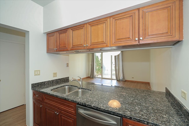 kitchen featuring stainless steel dishwasher, hardwood / wood-style flooring, dark stone countertops, and sink