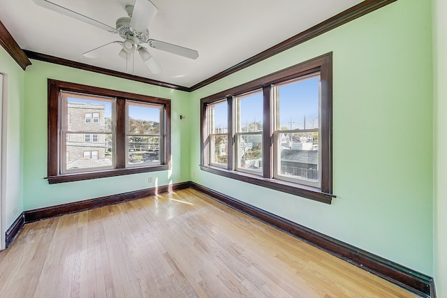 spare room featuring light hardwood / wood-style flooring, ceiling fan, and crown molding