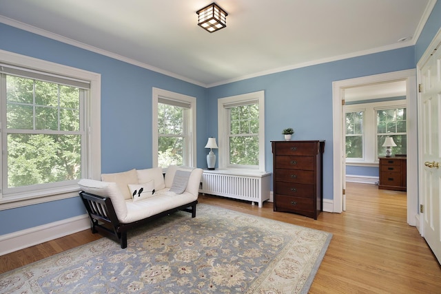 living area with a wealth of natural light, radiator, and light wood-style flooring