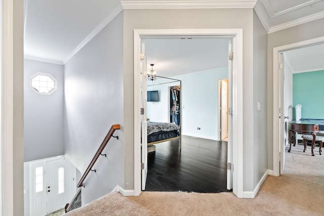 hall featuring carpet and ornamental molding