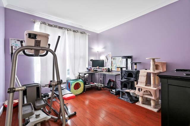 exercise room featuring hardwood / wood-style flooring and ornamental molding