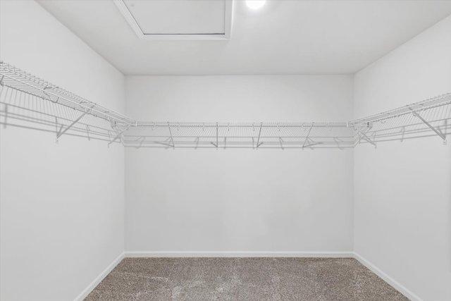 384 W Point Cir, Algonquin, IL 60102 - walk in closet with carpet floors and attic access