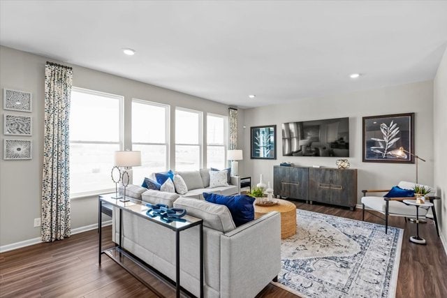 living room with dark hardwood / wood-style flooring