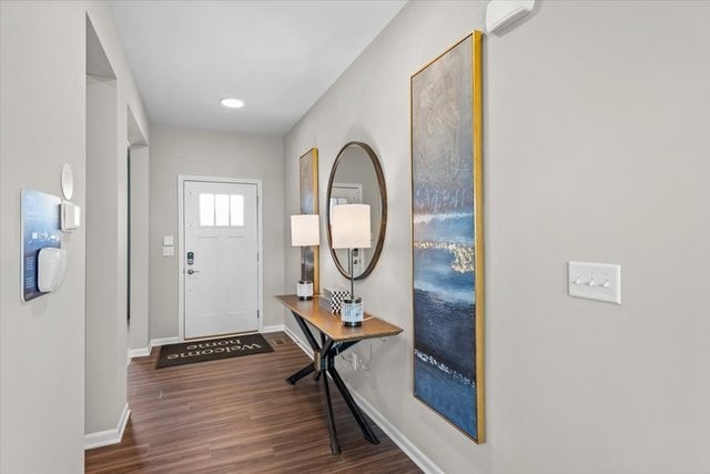 foyer with dark wood-type flooring